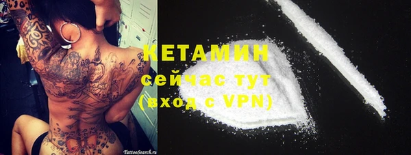 кокс Ельня