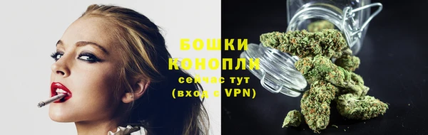 кокс Ельня
