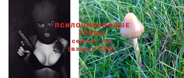 СК Елабуга