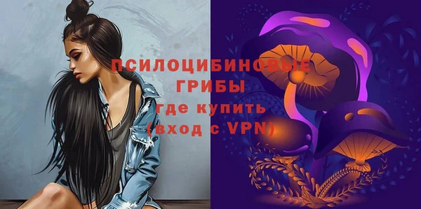 кокс Ельня